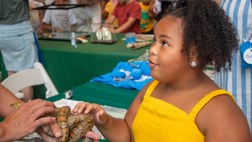 Child in yellow dress with snake