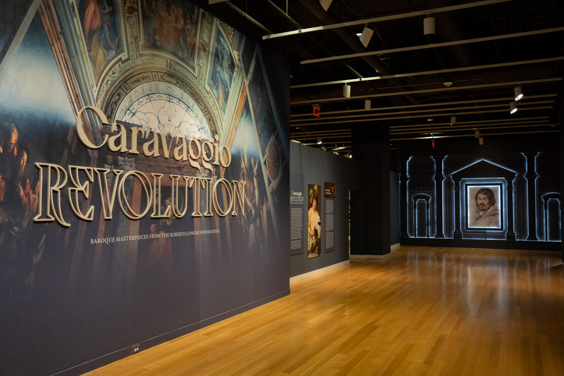 Members Moment | Caravaggio | Revolution